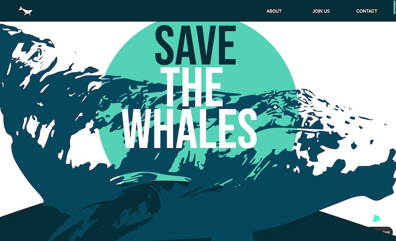 Save the whale